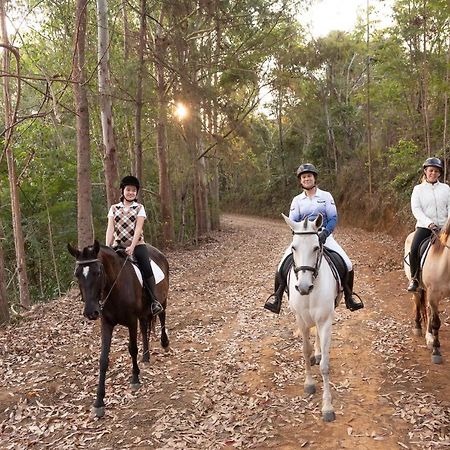 Haras Morena Resort Juiz de Fora Eksteriør billede