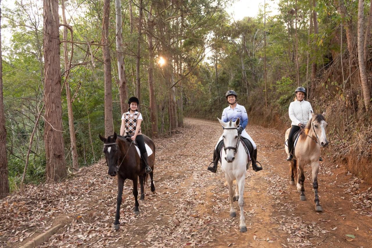 Haras Morena Resort Juiz de Fora Eksteriør billede